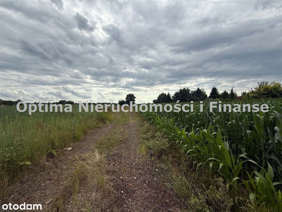 Oferta Sprzedaży Działek W Gierałtowicach