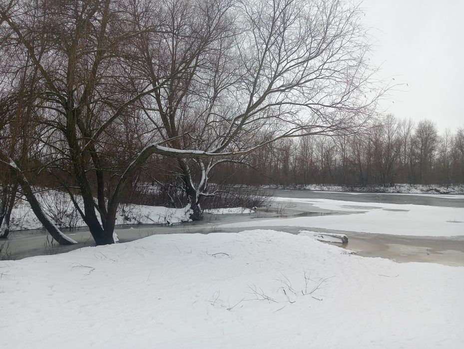 Оренда котеджу в шикарному місці на Десні подобово!!!