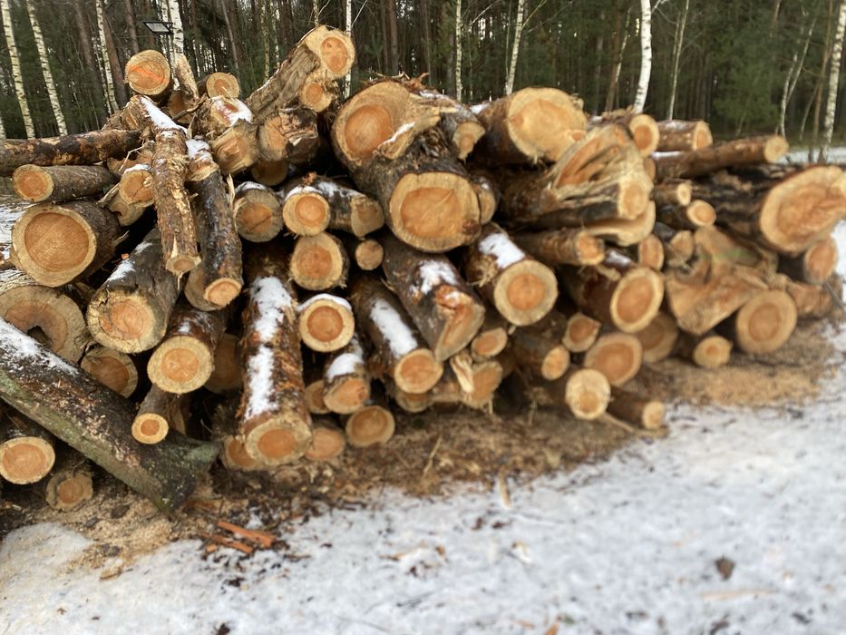 Drewno opałowe grube