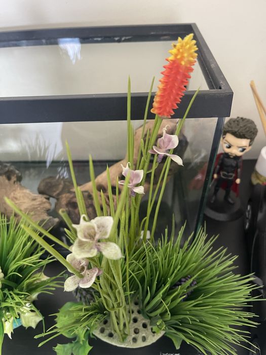 Plantas artificiais para aquario