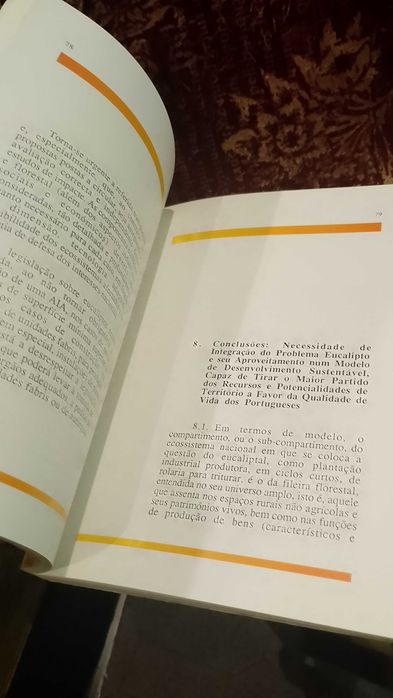 O Eucalipto em Portugal