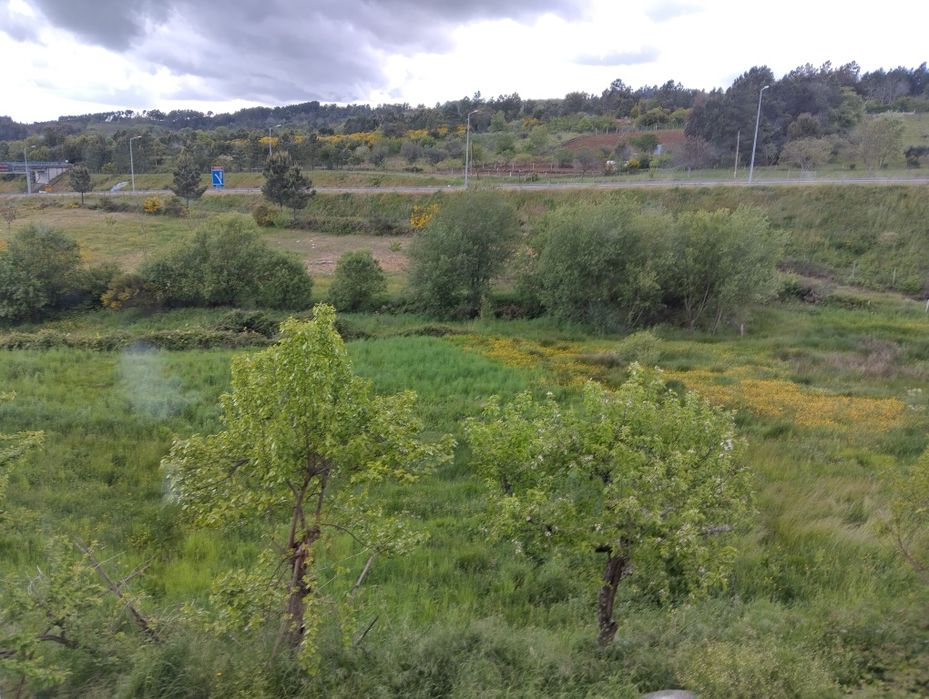 Quinta com duas casas em excelente localização em Trancoso