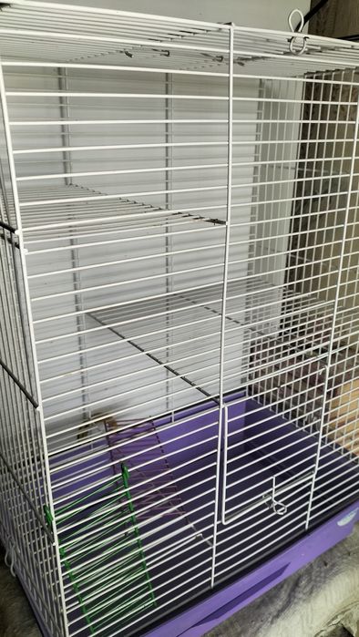 Клітка для гризунів