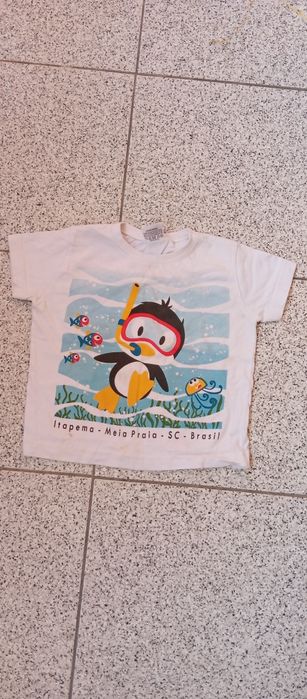 Peças de roupa menino 18-24 meses