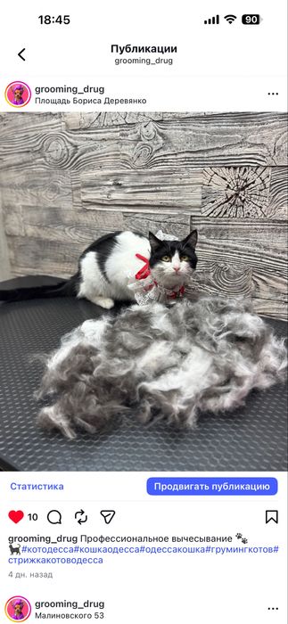 Вычесывание/Стрижка котов .