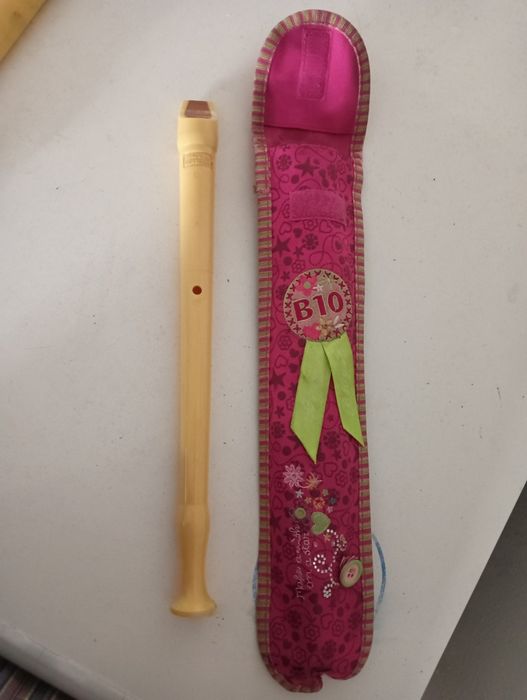 Duas flautas bisel Honner e Mellody