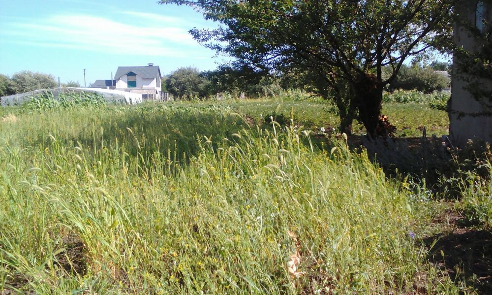 Продажа дачи в черте города Сумы (веретеновка)