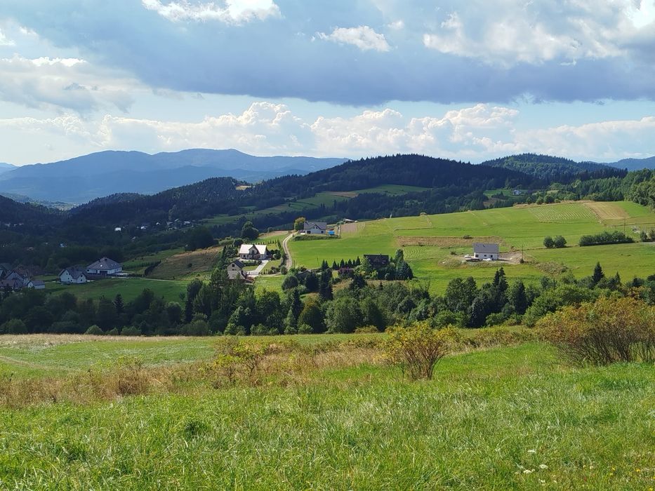 Zdjęcie 3