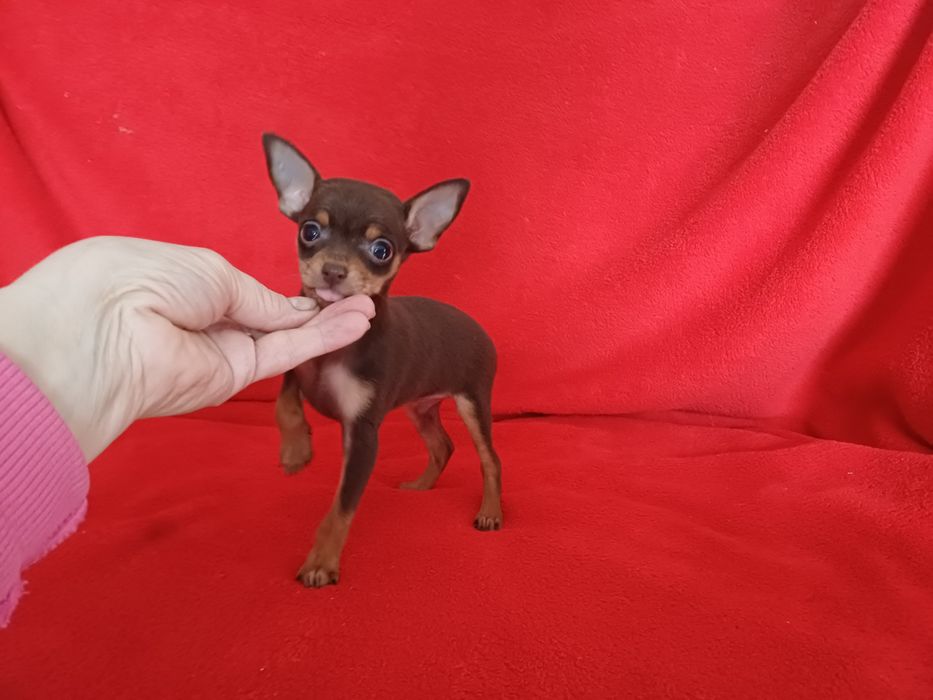 Супер красавчик идеальный