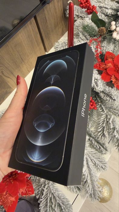 iPhone 12 Pro Max, Silver, 256 GB