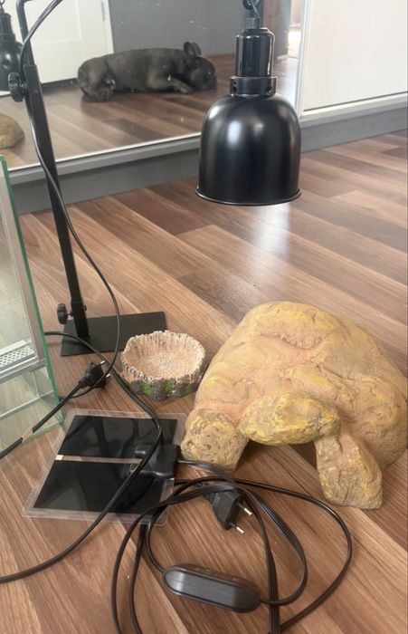 Dodatki do terrarium