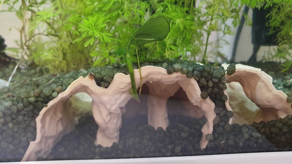 Decorações para aquário