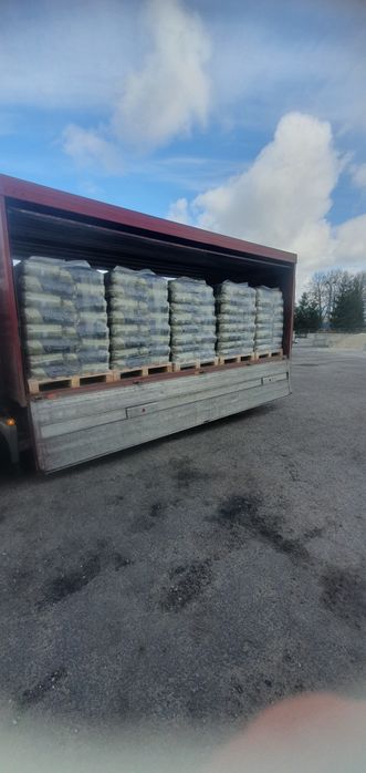 Groszek 29-27 sobianek lew