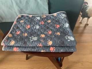 Tapete antiderrapante para cão