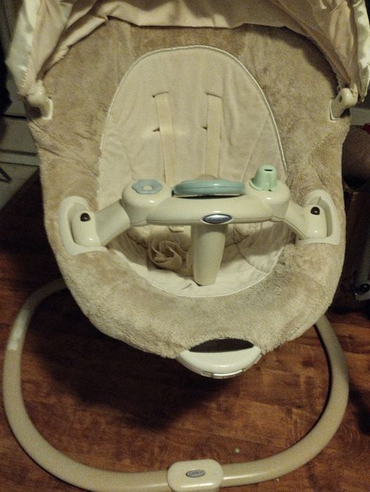 Bujaczek beżowy  z pozytywką