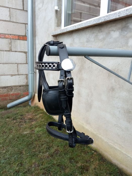 Ogłowie zaprzęgowe