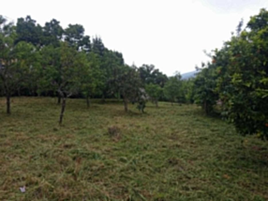 Remodelaçoes e Acabamentos/Limpeza de terrenos/jardinagem