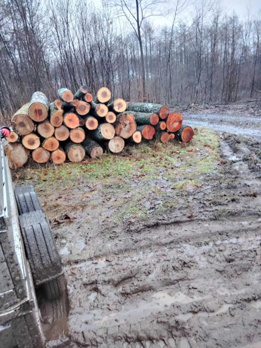 Wycinka drzew, koszenie traw