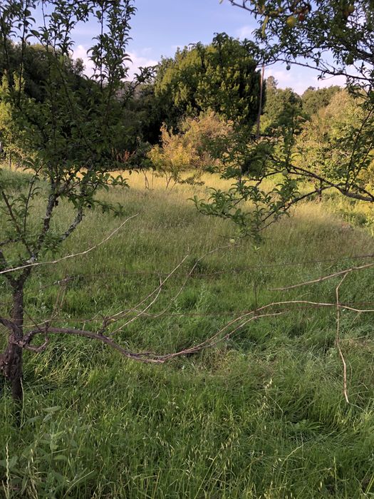Terreno para projecto agricola