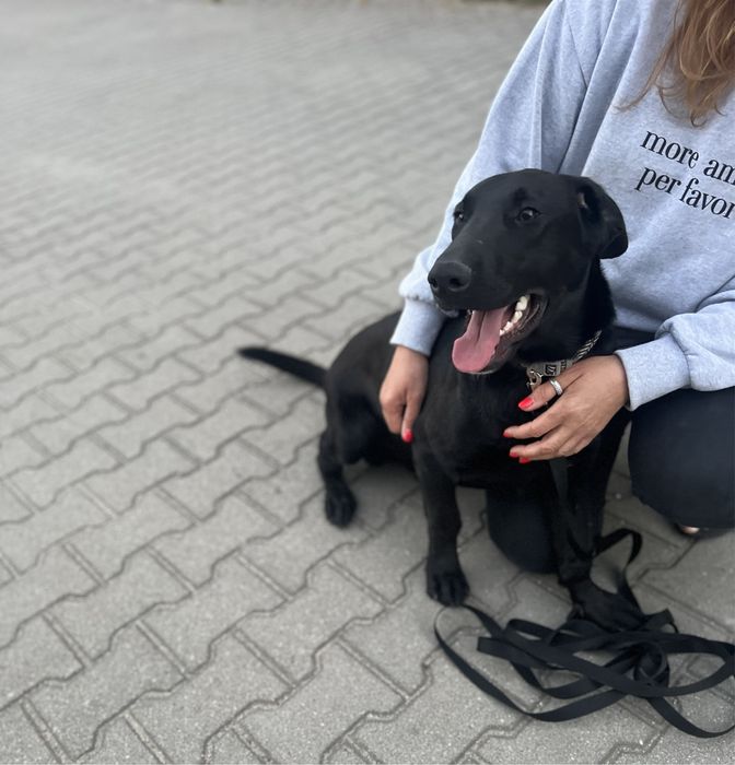 Batman szuka swojego człowieka.