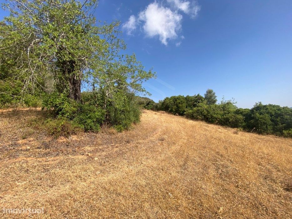 Lote de Terreno Rústico no Serro dos Passarinhos, Loulé, Algarve