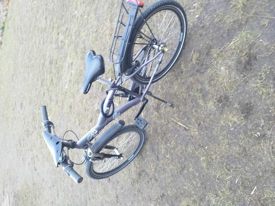 Rower Betavus Snake