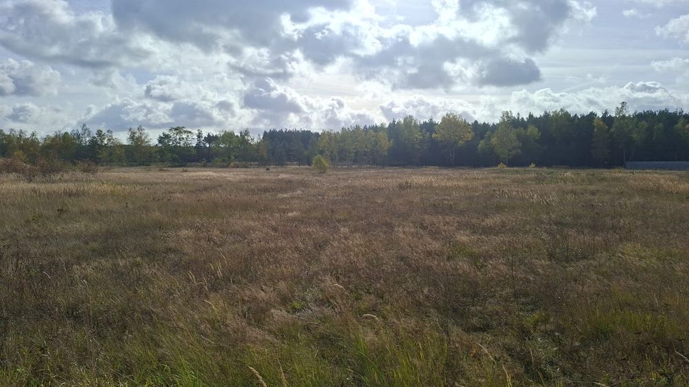 DZIAŁKI na sprzedaż – WAŁOWICE, GM. Gubin