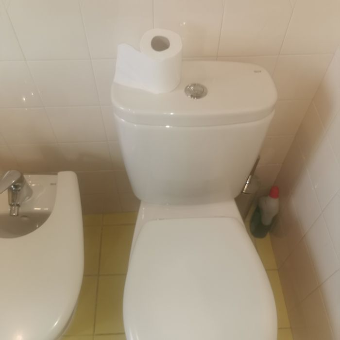 WC  Sanita + Bidé  + torneira Roca