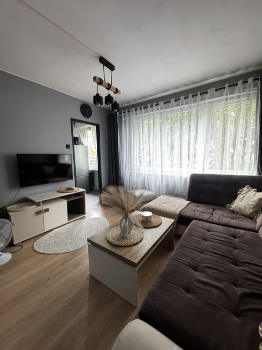 Mieszkanie na wynajem 35m  2 pokoje po remoncie zwierzęta centrum