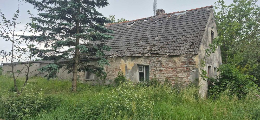 Oddam za darmo materiał w zamian za rozbiórkę/posprzątanie lub za drobną dopłatą