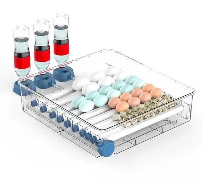 Інкубатор автоматичний Птаха 300-В (220В/12В)
