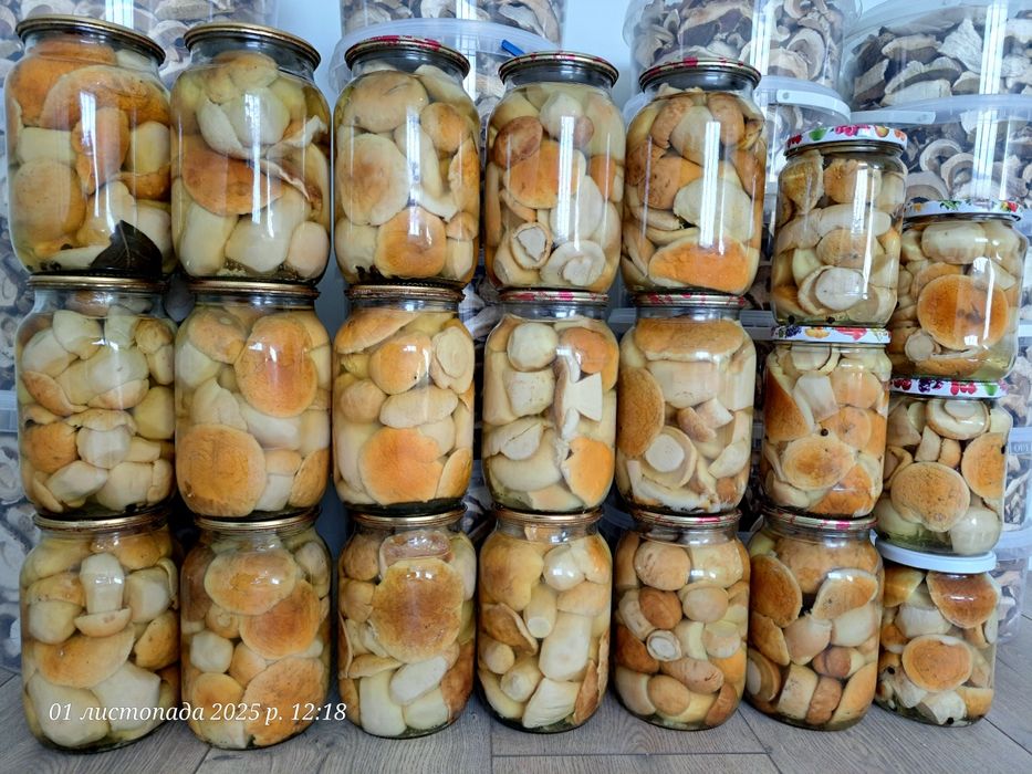 Білі гриби сушені з Карпат! 3л відерце