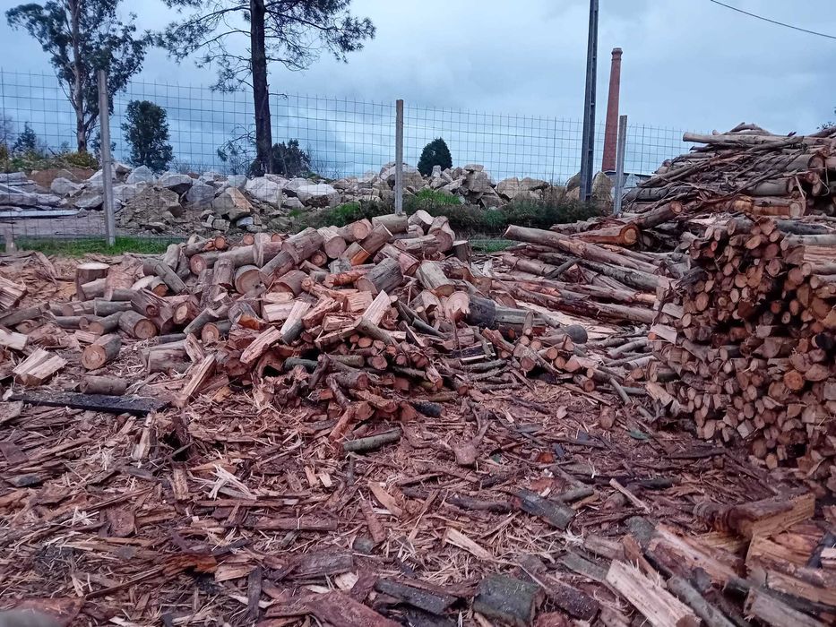 Lenha seca eucalipto