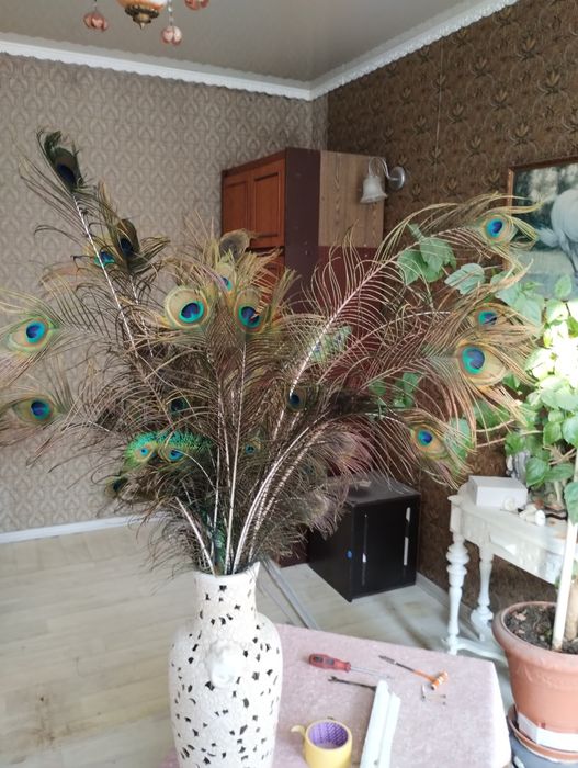 Продам букет из пера павлина.