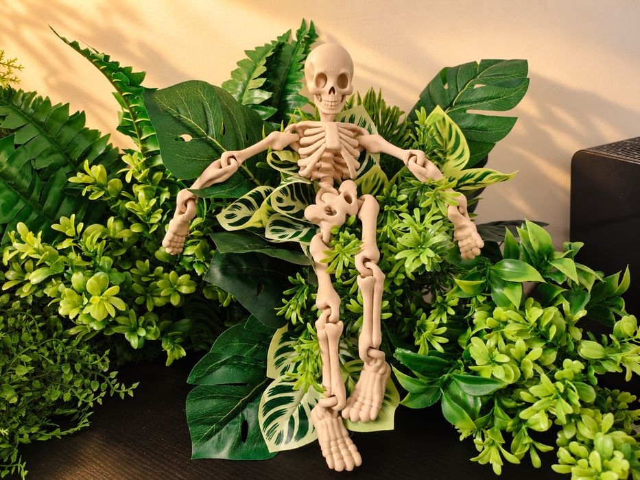 Skeleton de brinquedo flexível