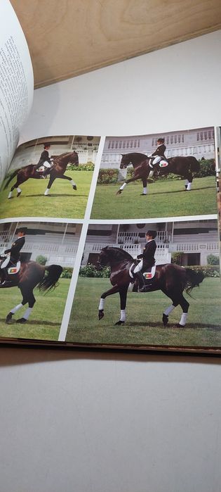 Cavalo Lusitano, O Filho do Vento - Arsénio Raposo Cordeiro (Edições INAPA)
