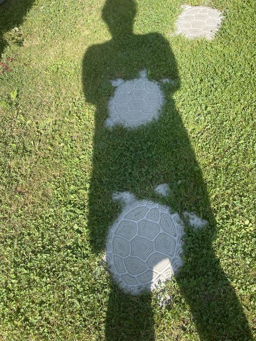 Ścieźka jak żółwi szlak