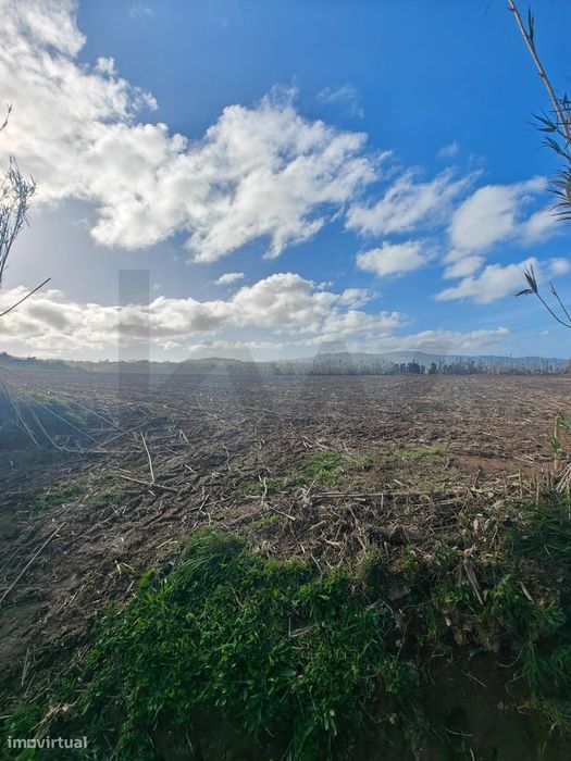 Terreno Rústico - Ribeira Funda - Fenais da Ajuda