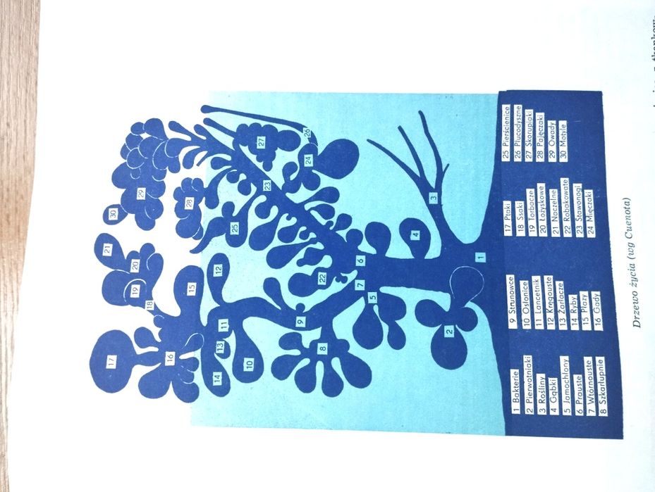 Życie Morza Kazimierz Demel