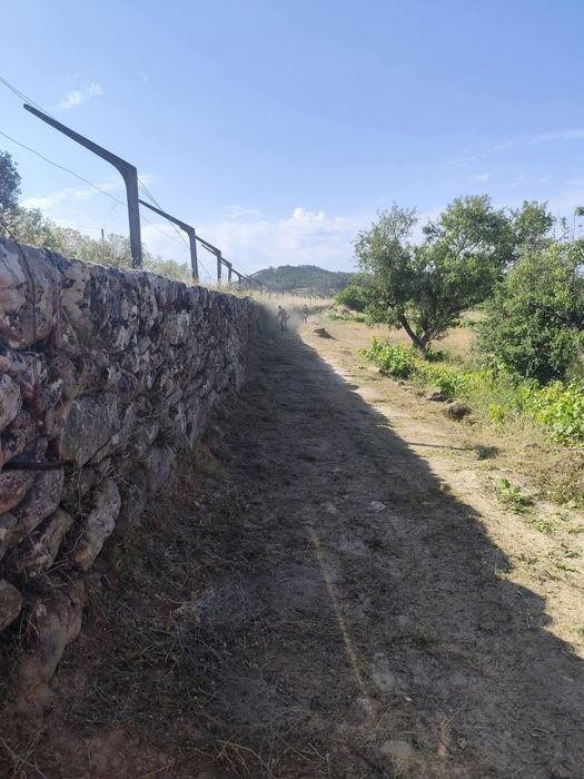 Trabalhos agrícolas e lar