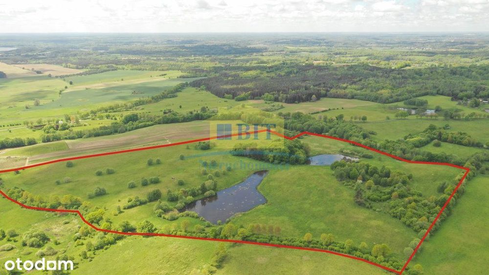 Wyjątkowe miejsce - 23,6ha - Dwa Duże Stawy