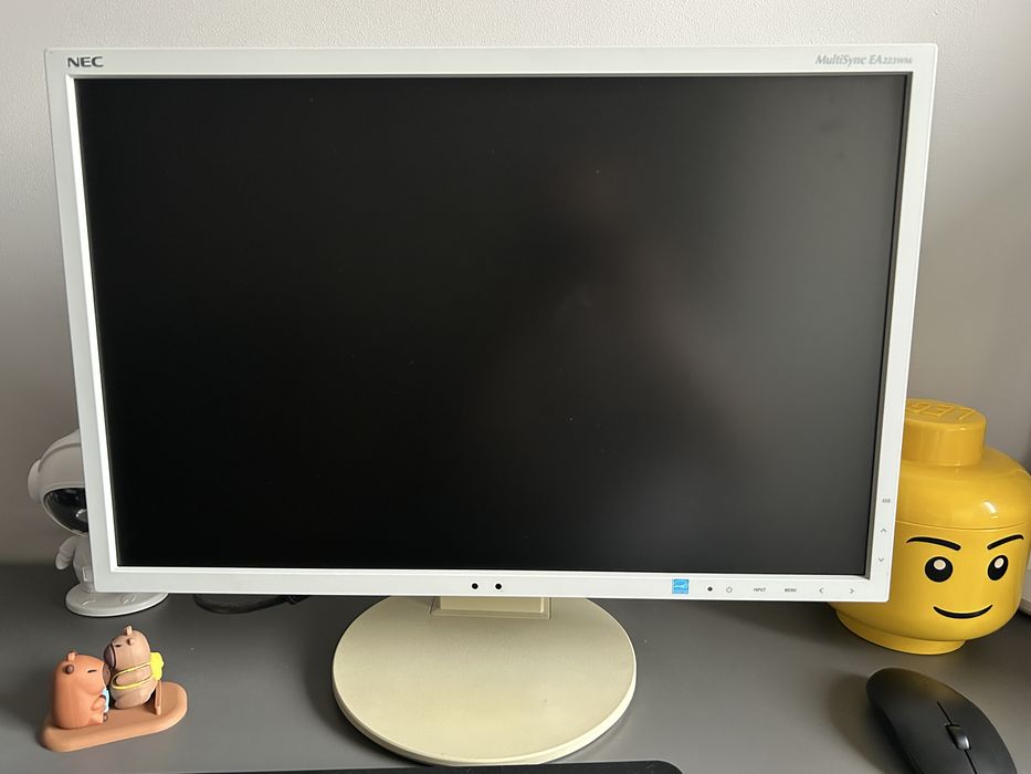 Monitor LED  NEC