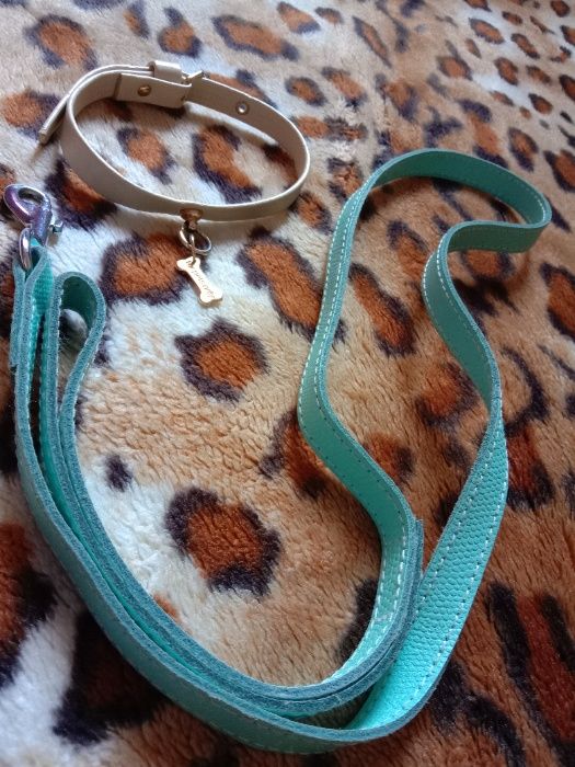 Ошейник итальянского бренда For pets only +кожаный поводок для собак