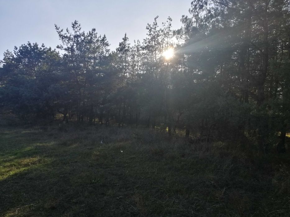 Участок, Леса ,Куриловка  Возле моста .Левый берег.