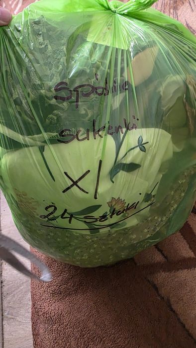 Zestaw sukienek i  spódnic X plus inne zestawy.L 24 sztuki