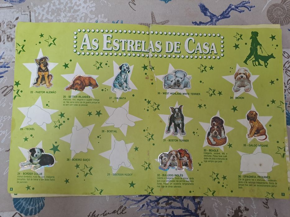 Cardeneta da bollycao - o teu melhor amigo 1°