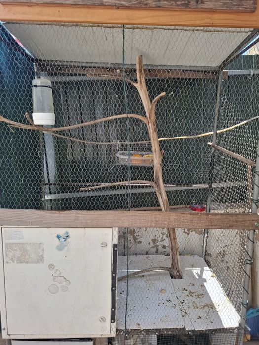 Algumas gaiolas disponíveis