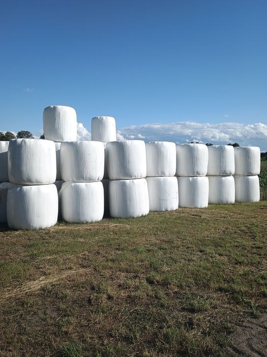 Sprzedam siano kiszonkę