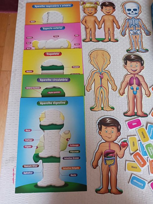 Jogo didático Anatomia