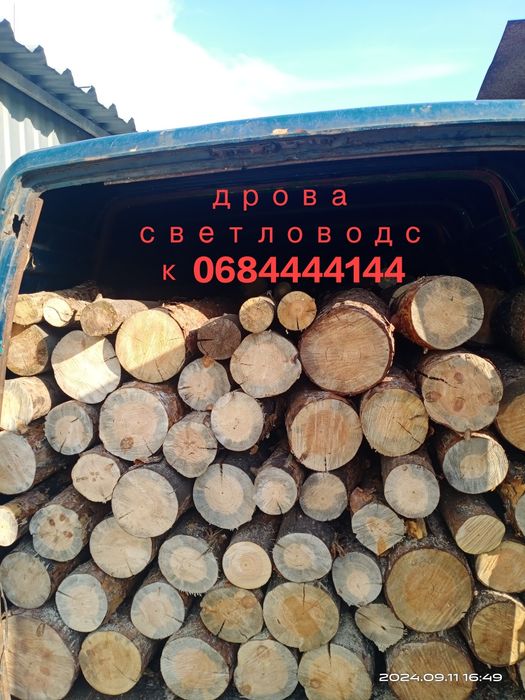 Дрова  сосна и тведои породы